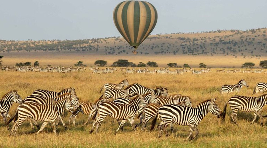 Ngorongoro Crater