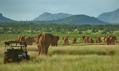 3 Days Samburu Safari